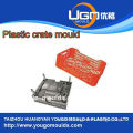 High quality plastic mould manufacture for chicken crate mould in huangyan China